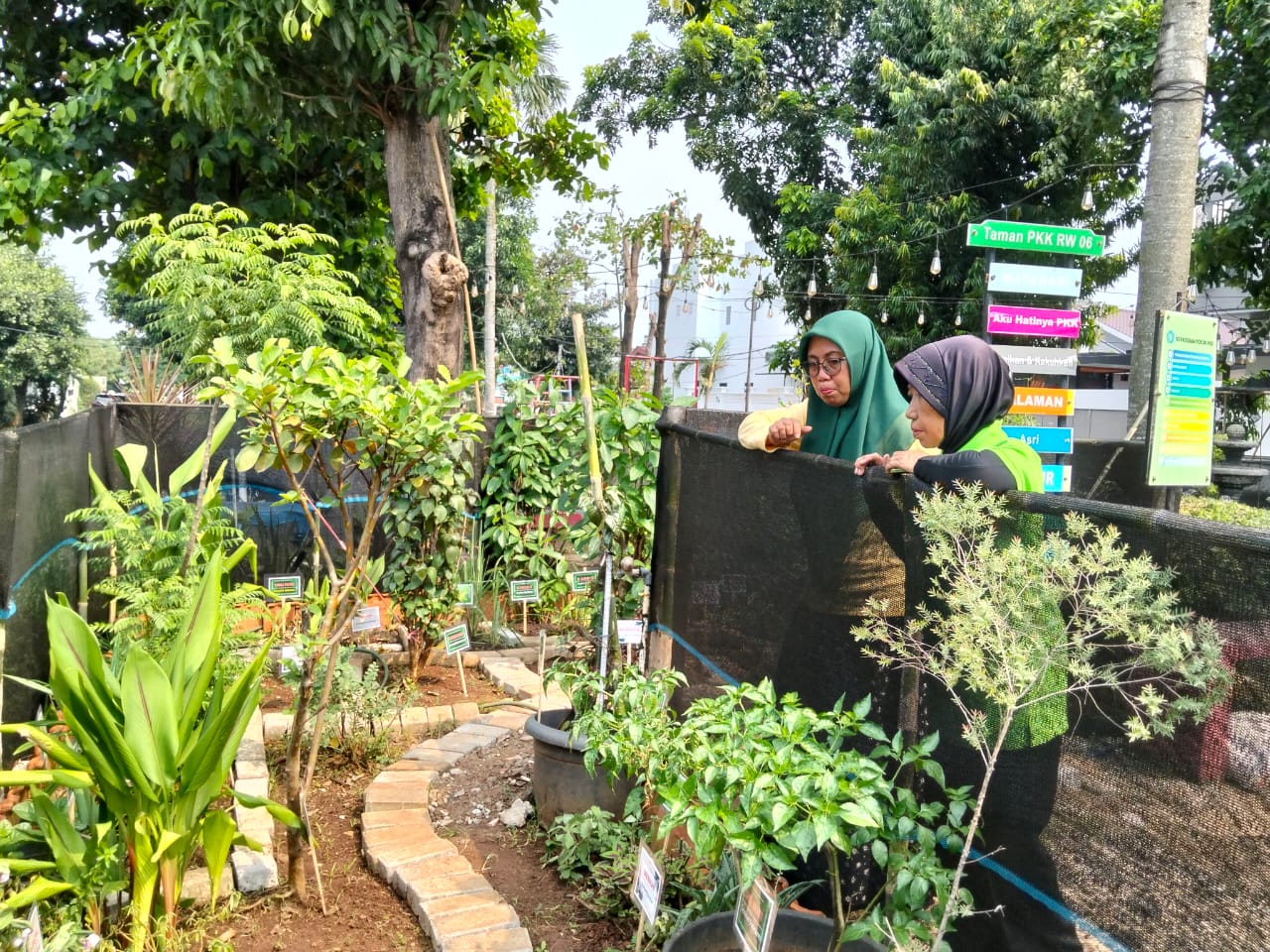 mnitoring taman Rw 006, tanggal 8 Juni 2026