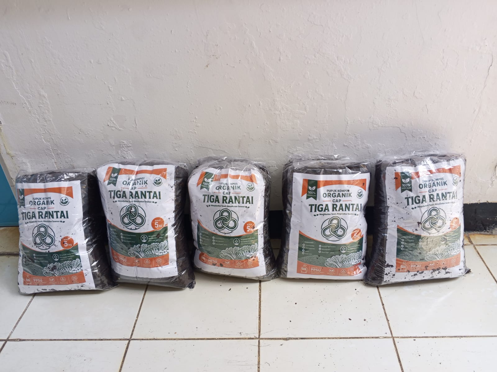 pupuk kompos tiga rantai cipinang melayu